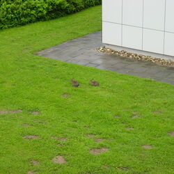 7. Erbe-Symposium Leiden 2003